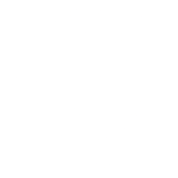 Icono Misión